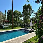 Misli - Red/ Dalyan