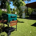 Villa Misli - Red/ *
