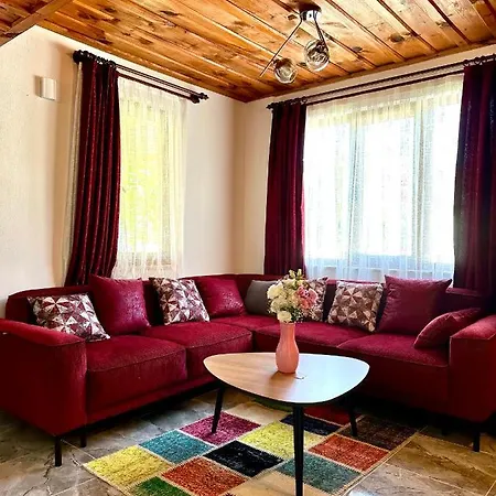 Misli - Red/ Willa *