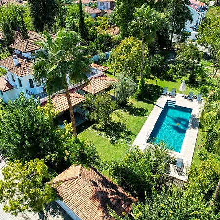 Villa Misli - Red/