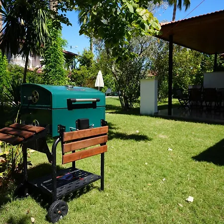 Villa Misli - Red/ *